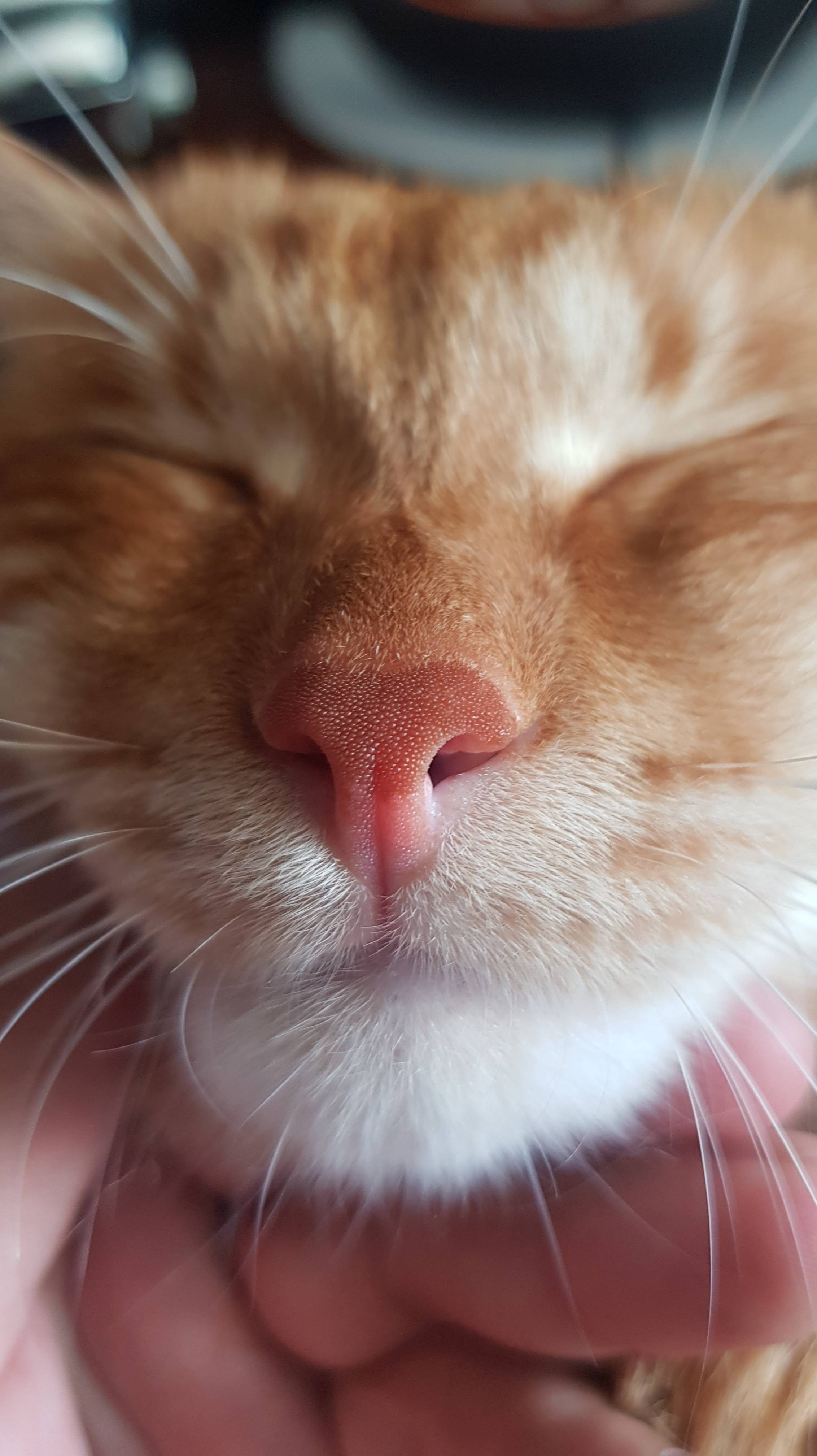 НА СТАРТ! ВНИМАНИЕ! смотреть онлайн