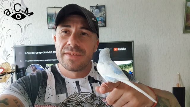 ТАЗИ ИСТОРИЯ Е ПО ДЕЙСТВИТЕЛЕН СЛУЧАЙ а.С.м смотреть онлайн