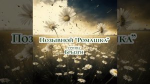 Позывной Ромашка