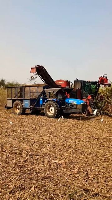 New holland tractor // sugarcane harvester 🚜// khatarnak machine 😱 #shorts #youtubeshorts #tractor смотреть онлайн