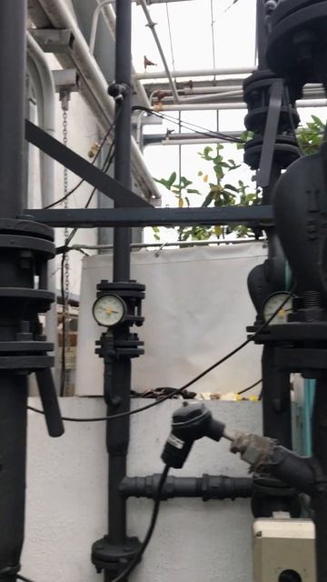 ЛИМОНАРИЙ ОБОРУДОВАНИЕ ДЛЯ ОБОГРЕВА Ботанический сад Минск Цитрус // Belarus Minsk Botanical garden смотреть онлайн