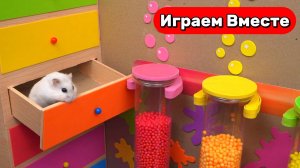Лабиринт для Хомяка ! Хомяк попал В КОПЬЮТЕРНУЮ ИГРУ ! Выбираемся вместе ! Видео для детей