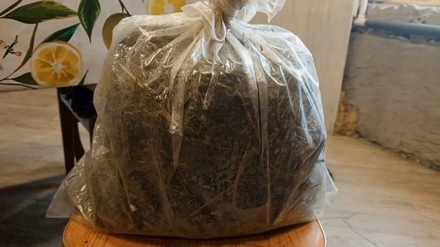 В 281  Летние вечера и первый арбузик. Грибной эксперимент начали!