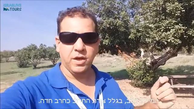 מדריך טיולים - עץ חרוב - עם מדריך הטיולים מיכאל смотреть онлайн