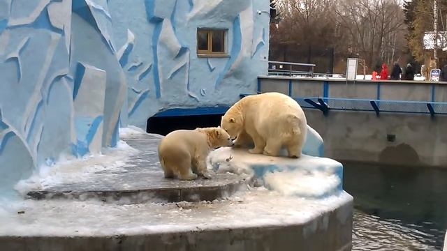 Поигрался с рыбкой,теперь съем  и снова попрошу...