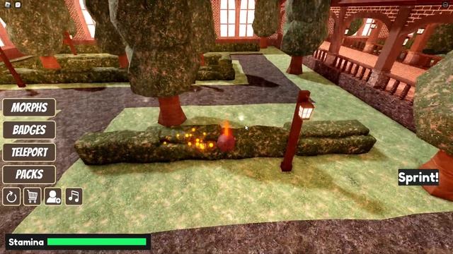 ГРАЮ з АРСІКОИ в ДОРС морф