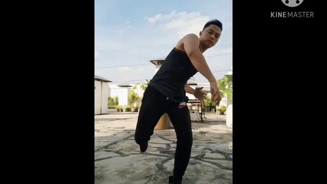 Herpestes The Electrifying Filipino Martial Arts step #01dancemove смотреть онлайн