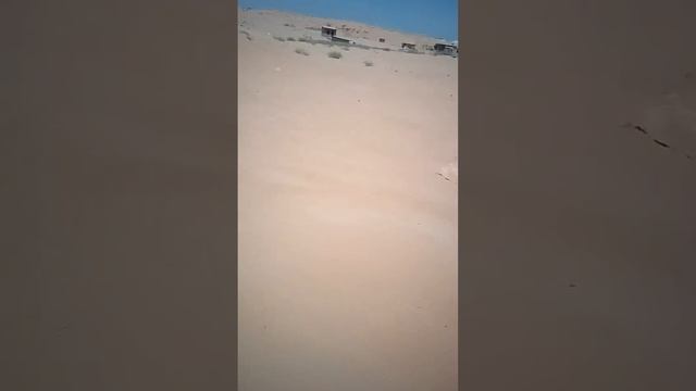 кум нимага шифо смотреть онлайн