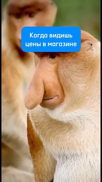 Есть такие ощущения? Можете попробовать найти дополнительный заработок на сайте Воркл Про!