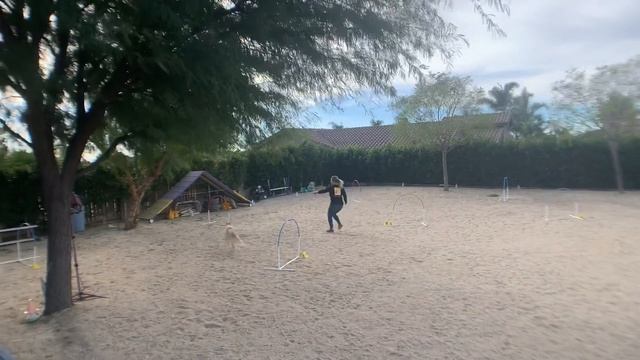 NADAC Smoak VT - Calisto’s Novice Hoopers Run #2 смотреть онлайн