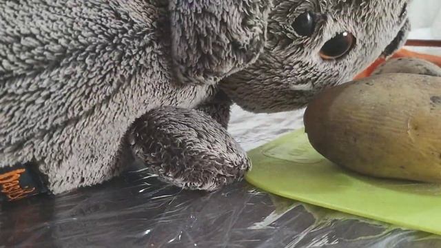 Кот Басик приготовление винигрета🥕 смотреть онлайн
