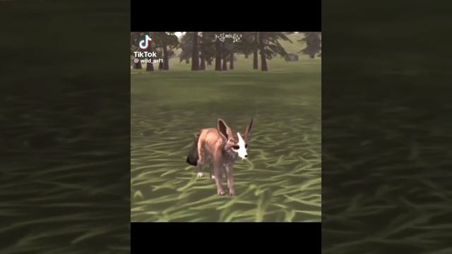 Обложка потерялась😅 / ВИЛД КРАФТ ТИК ТОК ПОДБОРКА ВИДЕО ~❤