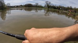 Рыбалка на карпа весной . Ловля карпа , карася на флэт-фидер