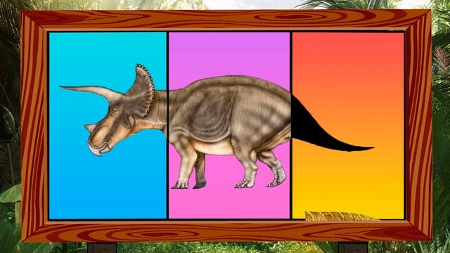 Study Dinosaur Names And Sizes | Carnivorous Dinosaur|herbivorous Dinosaur|sea Dinosaur|육식 공룡과 초식 공