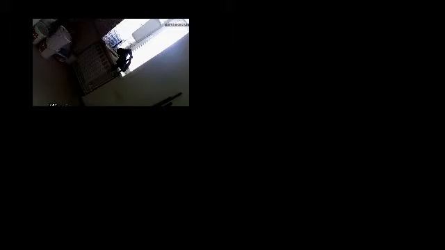 Прямая трансляция пользователя Яшин Валентин смотреть онлайн