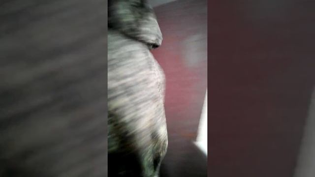 Приколы в армейке:) смотреть онлайн