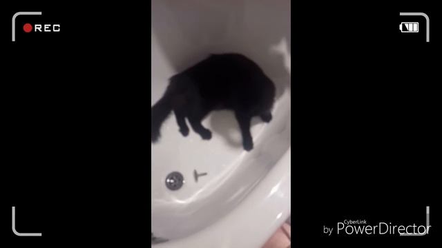 ''Маловато у меня игрушек, хочу еще эту!'' смотреть онлайн