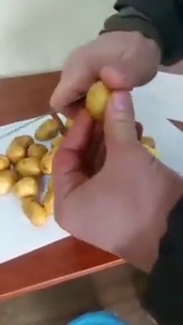 картофель Гала мелкий смотреть онлайн