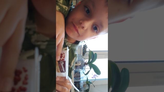 обзор на мой автомат🔫🔫🔫🔫🔫🔫🔫🔫🔫🔫🔫🔫🔫🔫 смотреть онлайн