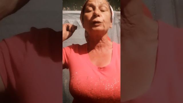 П.Т.: «обращение» смотреть онлайн