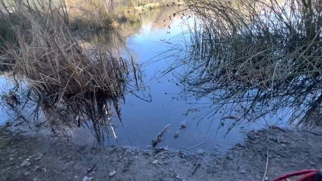 NAILED IT!!! Magnet Fishing near RAMSAY PARK, Watsonville California смотреть онлайн