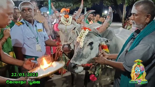 SARGURU TV 22/03/23 புதன்கிழமை கோமாதா பூஜை смотреть онлайн