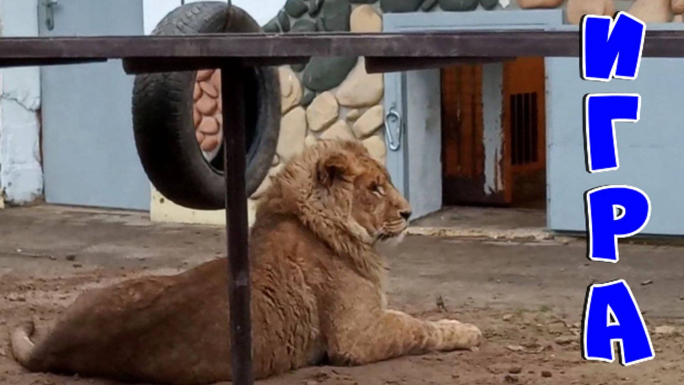 ШЕРХАН, ПОРШ и СИМОЧКА. / Перед обедом нужно поиграть. Обед царя. Колыбельная для царя. (6 выпуск) смотреть онлайн