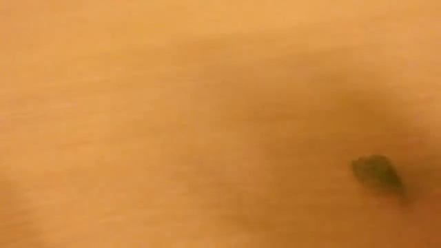 Липучка смотреть онлайн