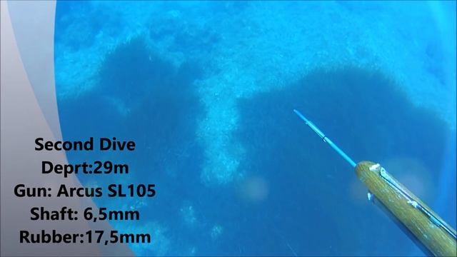 CMAS Spearfishing World Champion George Vasiliou No.3