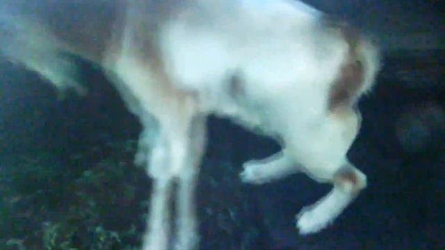 +100500-камеру вырубай смотреть онлайн