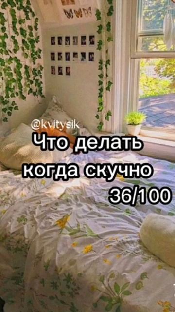 Книжная академия