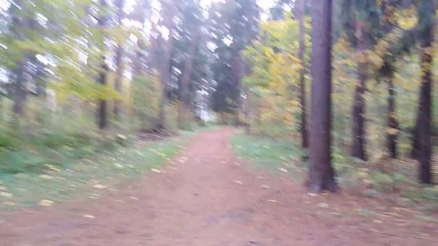 Belarus. Minsk. Forest-park. Просто лесопарк. смотреть онлайн