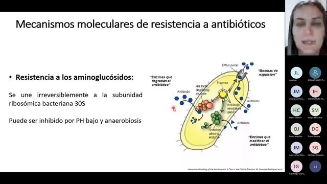 Antibiograma en Gram negativos - Dra. Catalina Trujillo смотреть онлайн