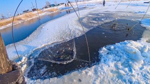 РЫБАЛКА НА ПАУК! СТОЛЬКО РЫБЫ НА ПАУК ЕЩЕ НИКТО НЕ ЛОВИЛ!!! Как в Сибири в деревнях рыбу ловят