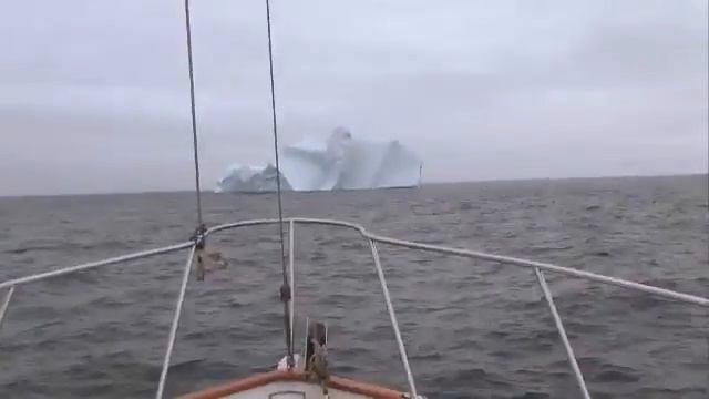 Iceberg Sighting - Newfoundland and Labrador, Canada