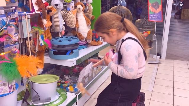 Жасмин и кошачий день
