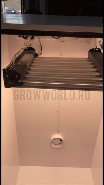 В150хД80хШ60 ГроуБокс FLASHER 200W LED SUPERSILENT #гидропоника #reels #растения #led #рилс смотреть онлайн