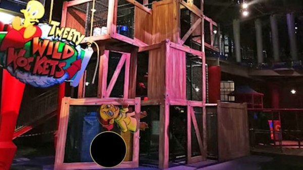 Legends of Fandom | Coyote vs Acme