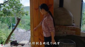 好久不见的Vlog——带大家来看看改造后的老家小院~【滇西小哥】