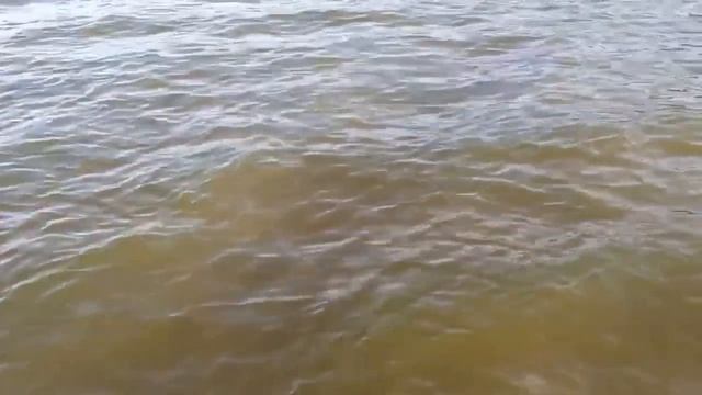 Новичкам везет смотреть онлайн