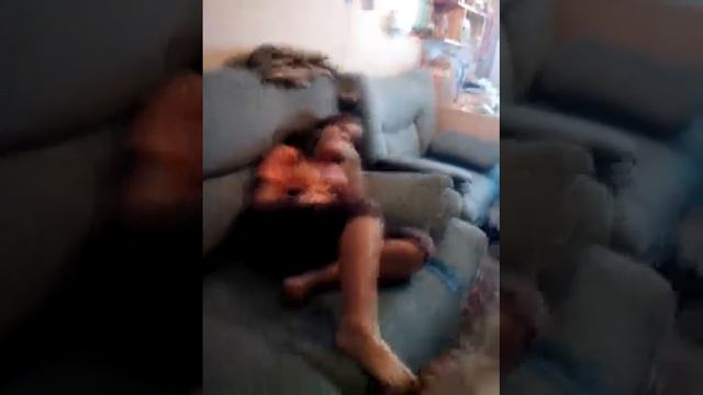 Как вызвать кота желаний смотреть онлайн