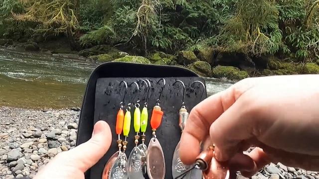 Is There A Better Use For A CD Case In 2023?