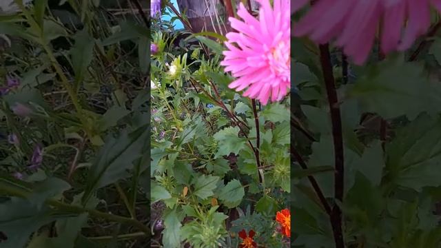 15 сентября 2021 г. смотреть онлайн