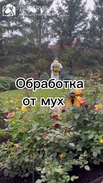 Обработка от нежелательных насекомых