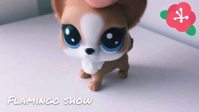 Новости канала// LPS видео// Flamingo Show