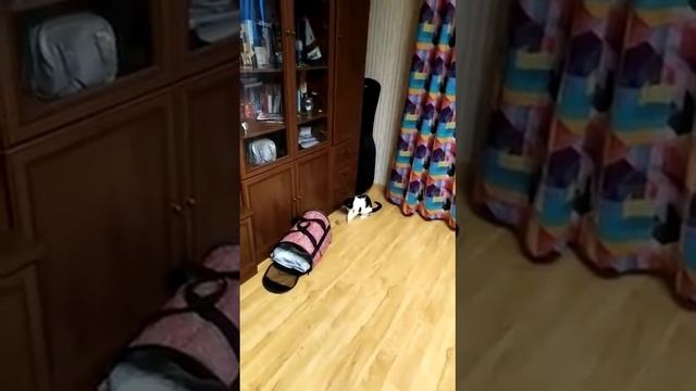 Евгеша дома