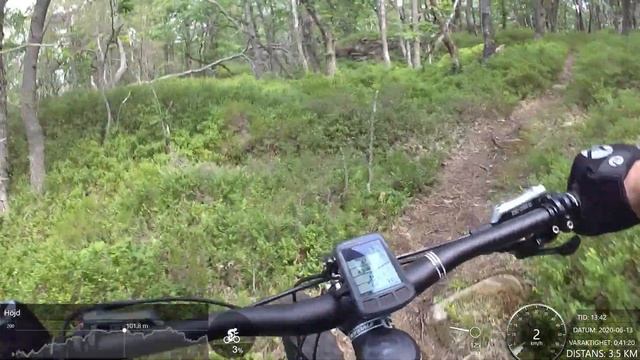 2020 06 13 Alena i lite nya spår смотреть онлайн