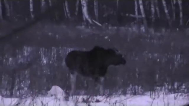 Алекс охотник смотреть онлайн