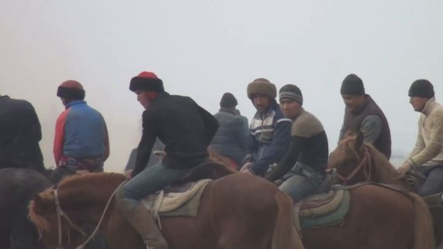 Fargonada ULOQ Kopkari Bo'ston. #uzbekistan #uloq #fergana #fargona #quvasoy #kopkari