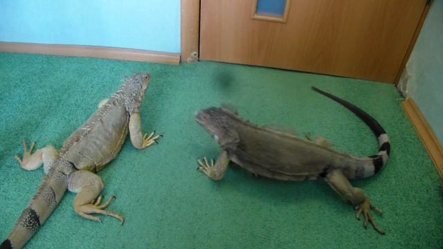 2016 04 У порога смотреть онлайн